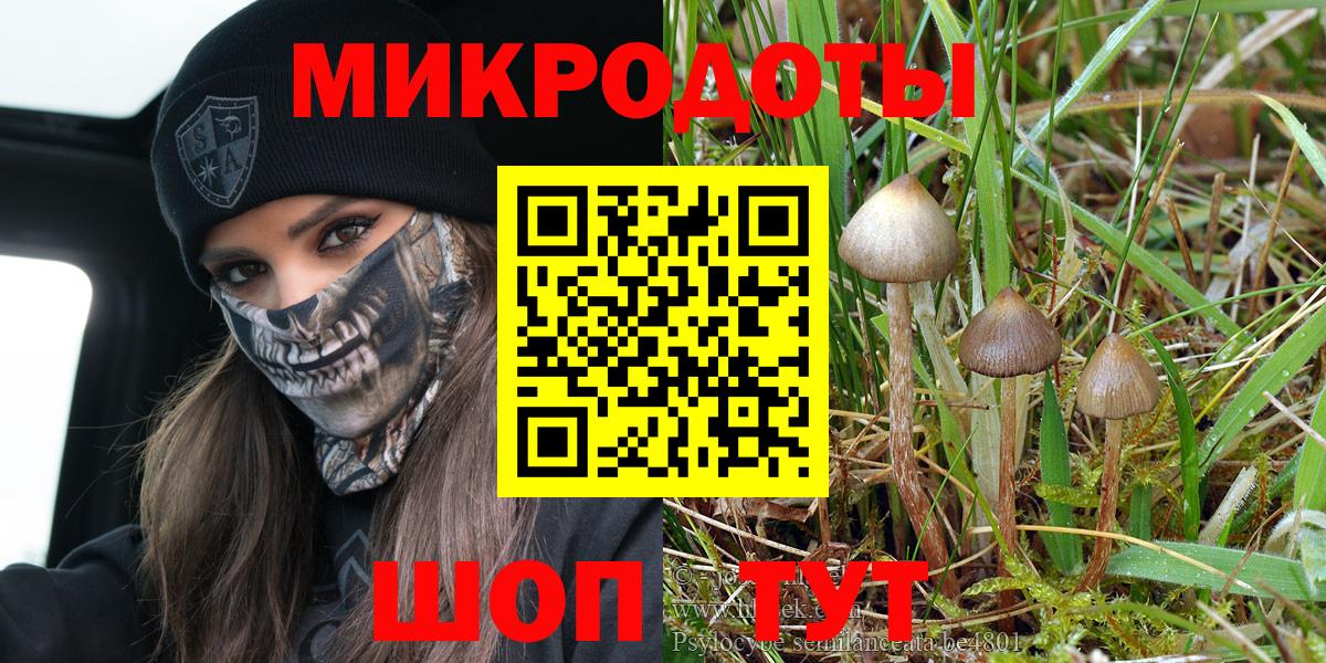 Карталы  Галлюциногенные грибы мицелий  Вход с VPN 